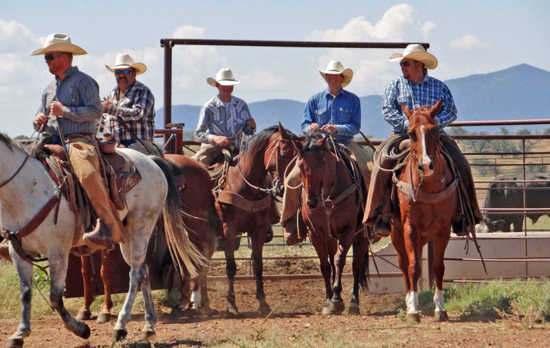 Ranchers on horseback